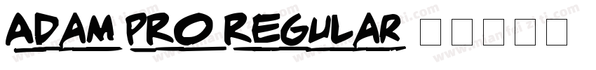 Adam PRO Regular字体转换